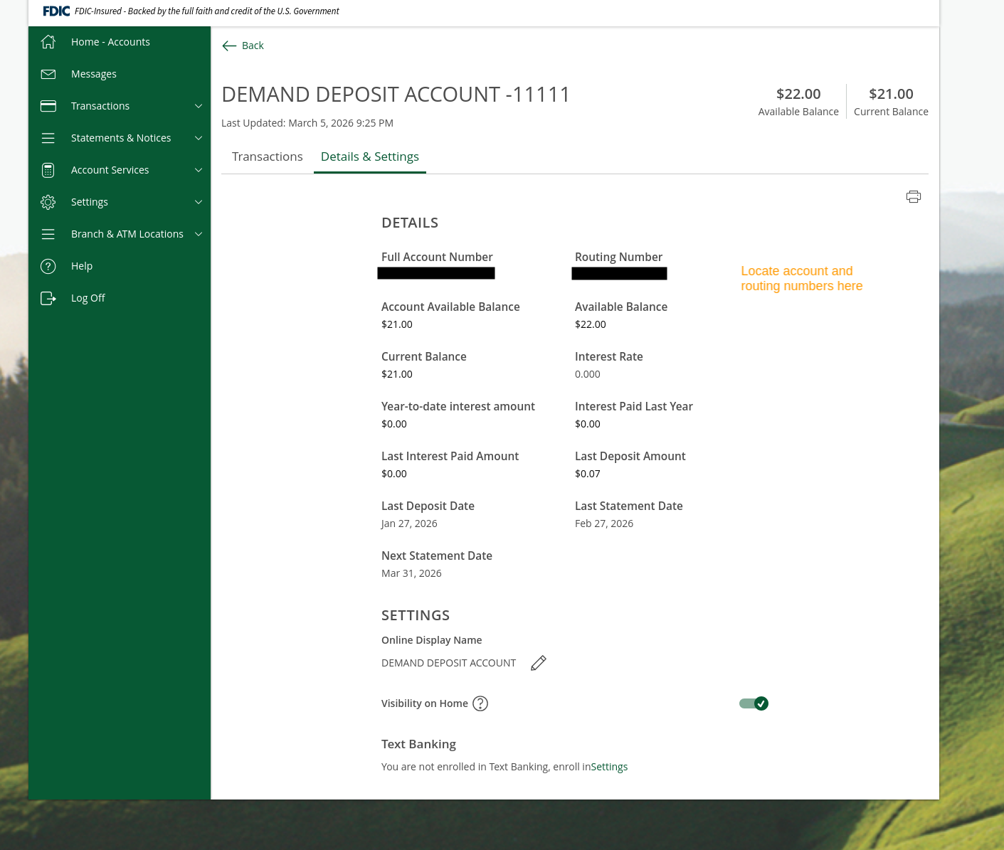 Account Details and Settings page showing the Full Account Number and Routing Number fields at the top of the Details section, along with balance information, interest details, and statement dates.