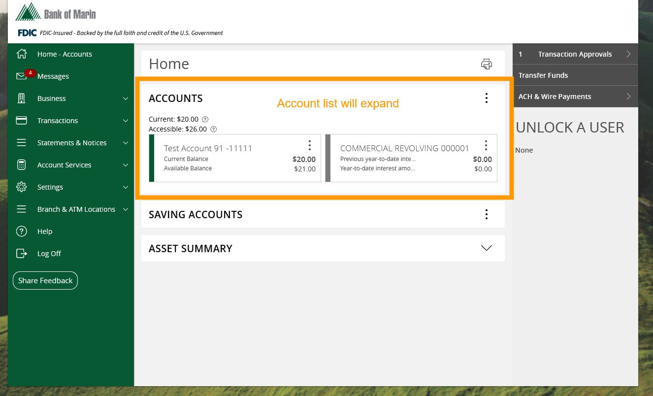 Home screen with the ACCOUNTS section expanded, showing individual account tiles with balances. An orange highlight surrounds the expanded section with the text Account list will expand.